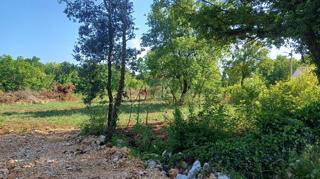 Land - Sale - ISTARSKA - MARČANA - BELAVIĆI