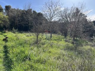 Land - Sale - ISTARSKA - PULA - PULA