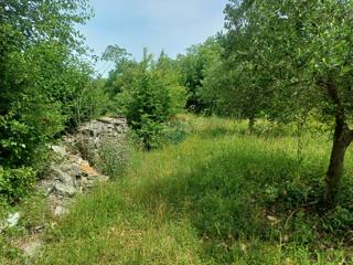 Land - Sale - ISTARSKA - MARČANA - MALI VAREŠKI