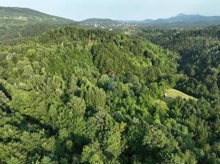 Land - Sale - PRIMORSKO-GORANSKA - DELNICE - DELNICE