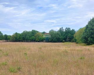 Land - Sale - ISTARSKA - POREČ - DRAČEVAC