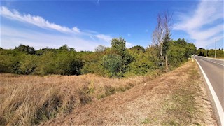 Land - Sale - ISTARSKA - KAROJBA - KAROJBA