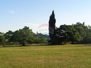 Land - Sale - ISTARSKA - ŽMINJ - ŽMINJ