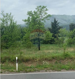 Land - Sale - ISTARSKA - BUZET - BUZET