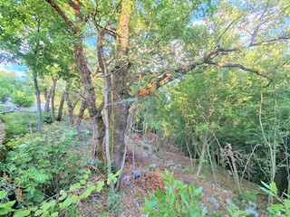 Land - Sale - PRIMORSKO-GORANSKA - MATULJI - BREGI