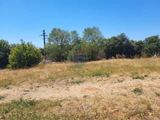 Land - Sale - ISTARSKA - ROVINJ - BARBARIGA