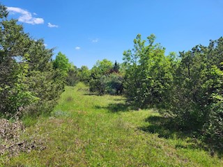 Land - Sale - ISTARSKA - VODNJAN - VODNJAN