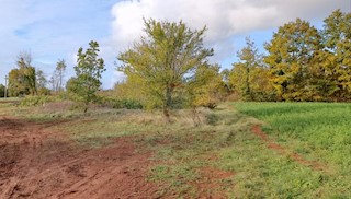 Land - Sale - ISTARSKA - ŽMINJ - LAGINJI