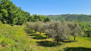Land - Sale - ISTARSKA - OPRTALJ - OPRTALJ
