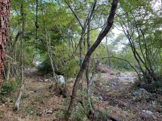Land - Sale - ISTARSKA - ROVINJ - ROVINJ
