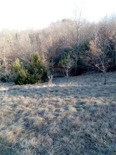 Land - Sale - ISTARSKA - ŽMINJ - KRCULI
