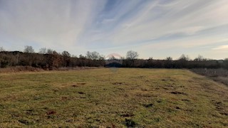 Land - Sale - ISTARSKA - BALE - BALE