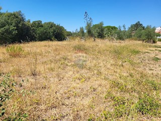 Land - Sale - ISTARSKA - ROVINJ - BARBARIGA