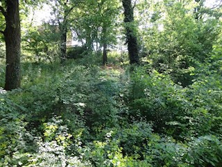 Land - Sale - PRIMORSKO-GORANSKA - ČAVLE - CERNIK