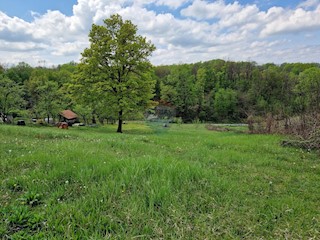 Land - Sale - GRAD ZAGREB - ZAGREB - DONJI DRAGONOŽEC