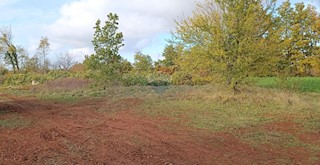 Land - Sale - ISTARSKA - ŽMINJ - LAGINJI