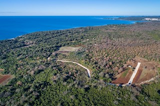 Land - Sale - ISTARSKA - VODNJAN - PEROJ