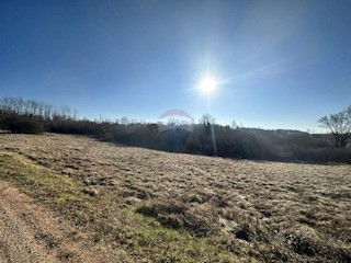 Land - Sale - ISTARSKA - KAROJBA - KAROJBA