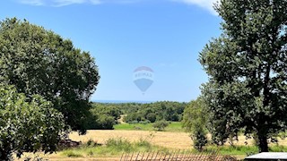 Grundstück - Verkauf - ISTARSKA - NOVIGRAD - NOVIGRAD