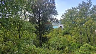 Land - Sale - ISTARSKA - RAŠA - TRGETARI