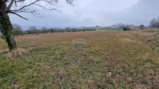 Land - Sale - ISTARSKA - BARBAN - BARBAN