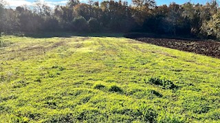 Land - Sale - ISTARSKA - UMAG - ČEPLJANI