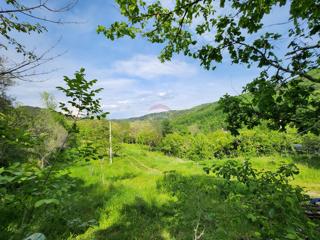 Zemljište - Prodaja - ISTARSKA - BUZET - SOVINJAK
