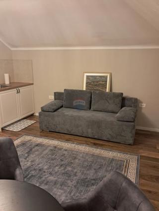 Flat - Rent - PRIMORSKO-GORANSKA - OPATIJA - OPATIJA