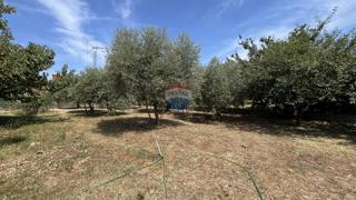 Zemljište - Prodaja - ISTARSKA - VIŠNJAN - VIŠNJAN