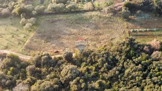 Land - Sale - ISTARSKA - ROVINJ - ROVINJ