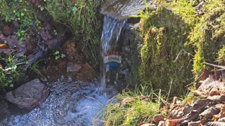 Land - Rent - PRIMORSKO-GORANSKA - DELNICE - BROD NA KUPI