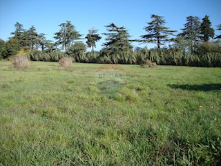 Land - Sale - ISTARSKA - PULA - PULA