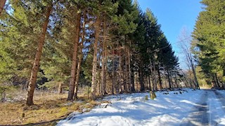 Land - Sale - KARLOVAČKA - OGULIN - JASENAK