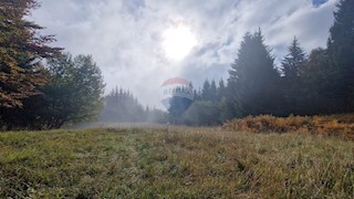 Land - Sale - PRIMORSKO-GORANSKA - DELNICE - DELNICE