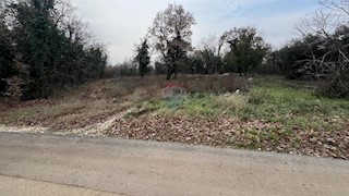 Land - Sale - ISTARSKA - SVETI LOVREČ - SVETI LOVREČ PAZENATIČKI