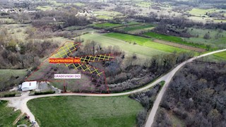 Land - Sale - ISTARSKA - ŽMINJ - ŽMINJ