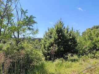 Land - Sale - PRIMORSKO-GORANSKA - RAB - LOPAR