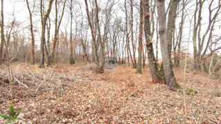 Land - Sale - ISTARSKA - UMAG - UMAG