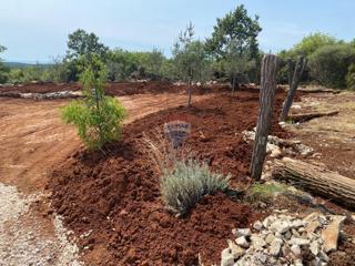 Land - Sale - ISTARSKA - BALE - BALE