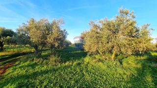 Zemljište - Prodaja - ISTARSKA - UMAG - FINIDA