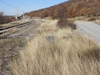 Land - Sale - ISTARSKA - LUPOGLAV - LUPOGLAV