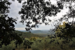 Land - Sale - ISTARSKA - OPRTALJ - OPRTALJ