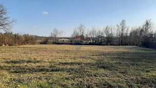 Land - Sale - ISTARSKA - TINJAN - KRINGA