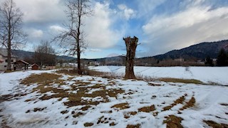 Land - Sale - KARLOVAČKA - OGULIN - JASENAK