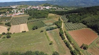 Land - Sale - ISTARSKA - VIŽINADA - VIŽINADA