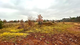 Land - Sale - ISTARSKA - UMAG - UMAG