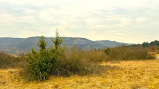 Land - Sale - ISTARSKA - GROŽNJAN - ZAVRŠJE
