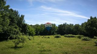 Land - Sale - ISTARSKA - KAŠTELIR - LABINCI - KAŠTELIR