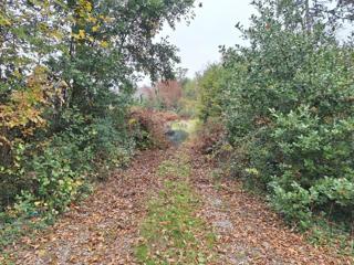 Grundstück - Verkauf - PRIMORSKO-GORANSKA - OPATIJA - POBRI