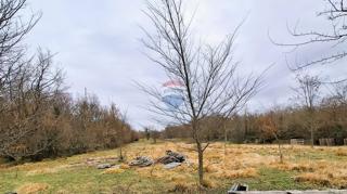 Land - Sale - ISTARSKA - BRTONIGLA - BRTONIGLA